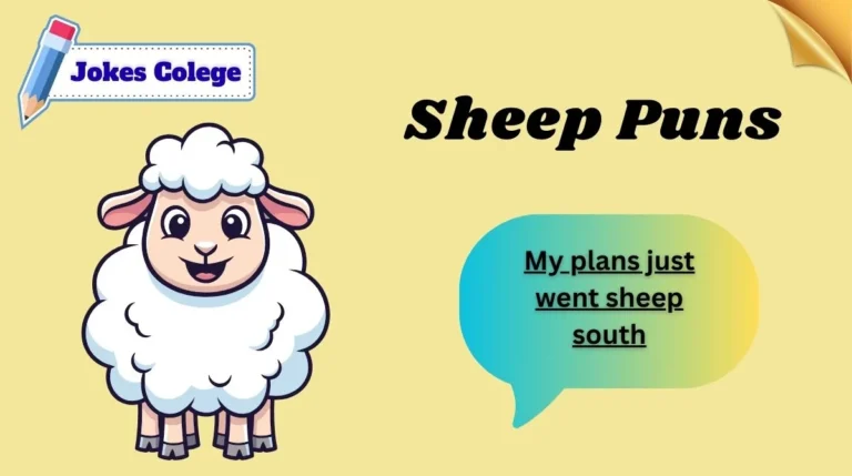 Sheep Puns