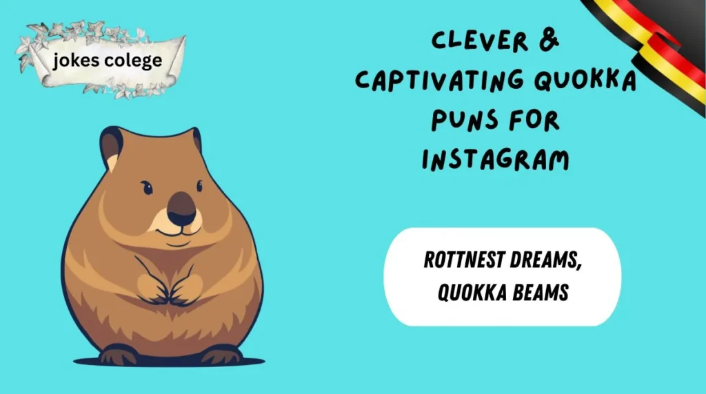 Clever & Captivating Quokka Puns for Instagram