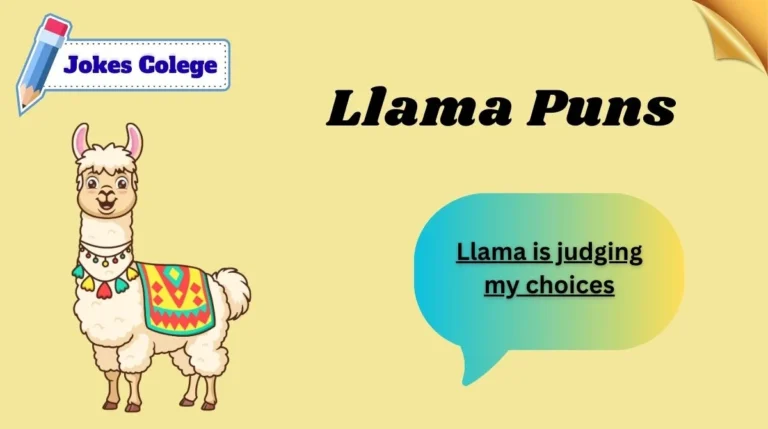 Llama Puns