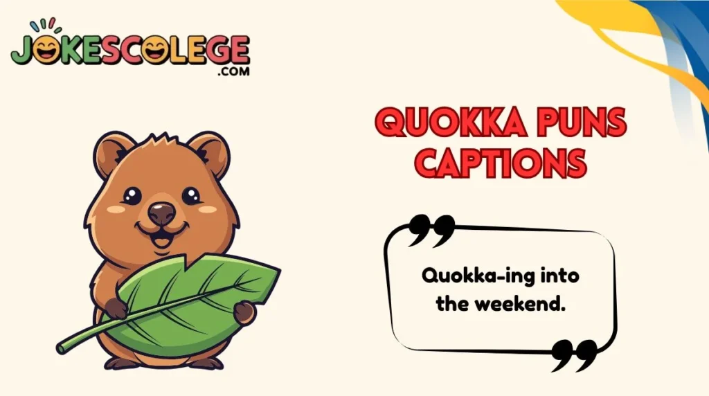 Quokka Puns Captions