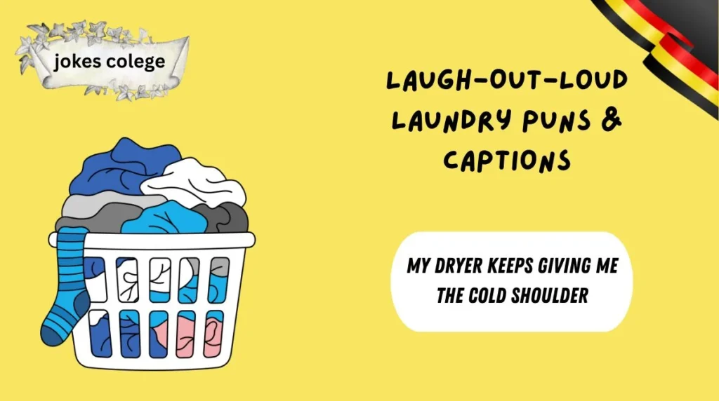 Laugh-Out-Loud Laundry Puns & Captions