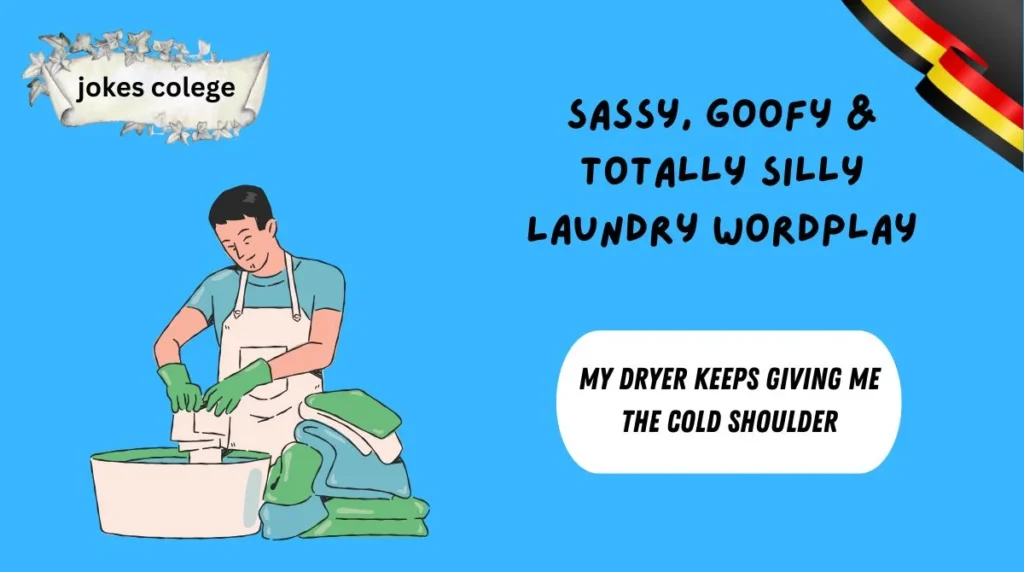 Sassy, Goofy & Totally Silly Laundry Wordplay