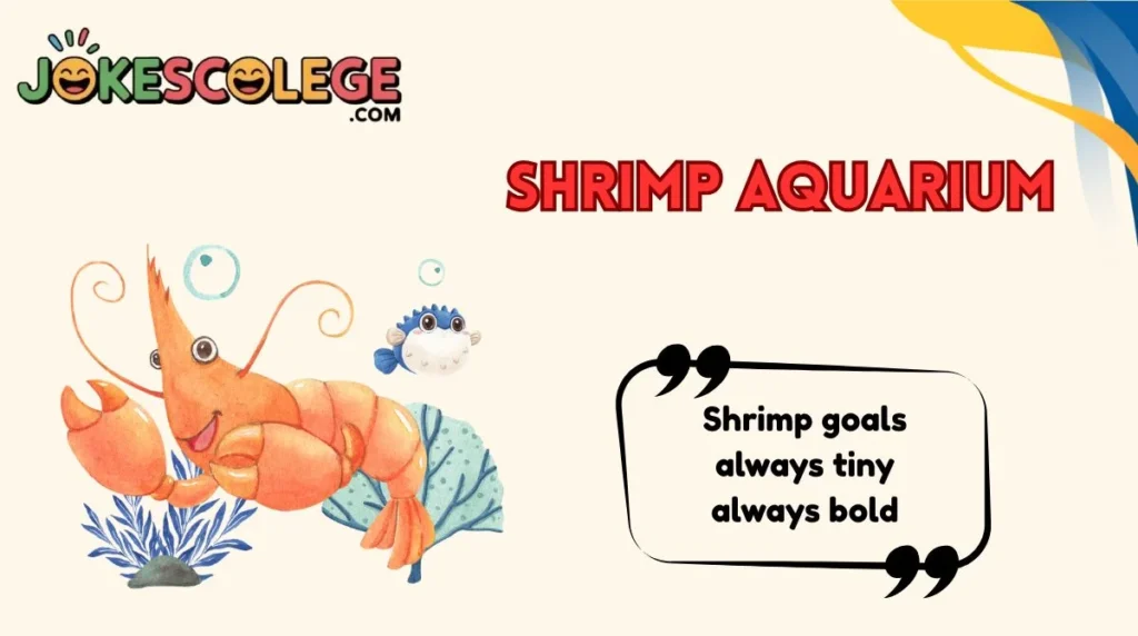 Shrimp Aquarium