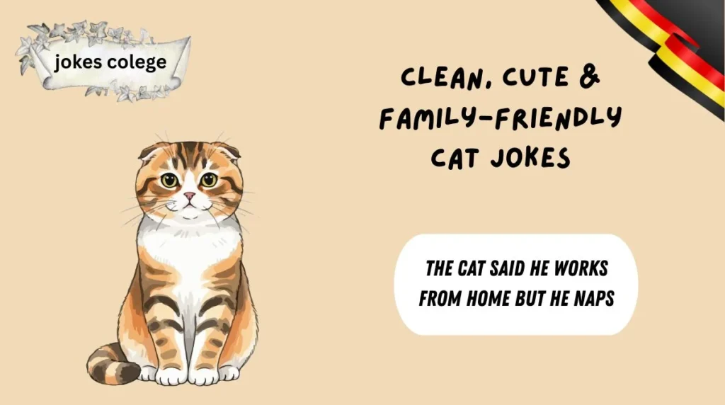 Clean, Cute & Family-Friendly Cat Jokes