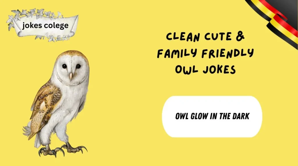 Clean Cute & Family Friendly Owl Jokes