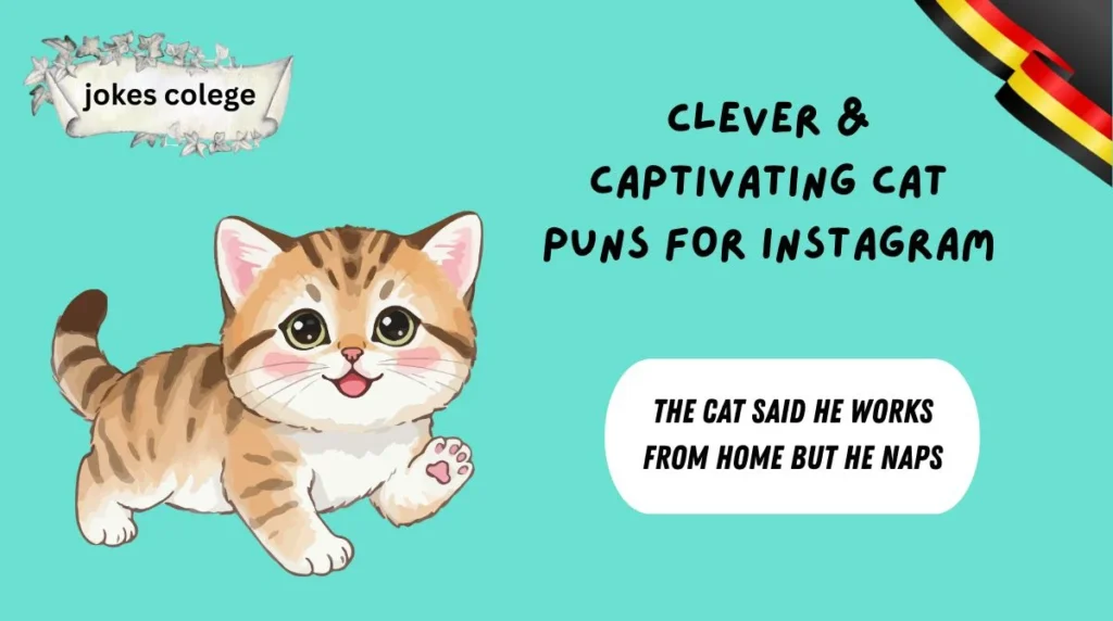 Clever & Captivating Cat Puns for Instagram