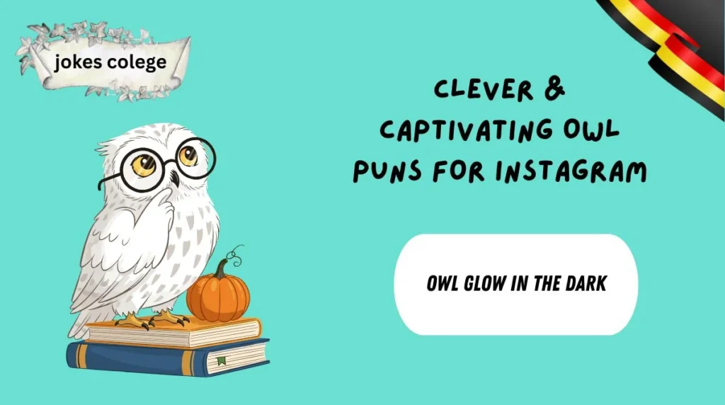 Clever & Captivating Owl Puns for Instagram