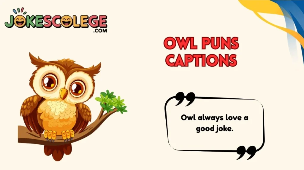 Owl Puns Captions