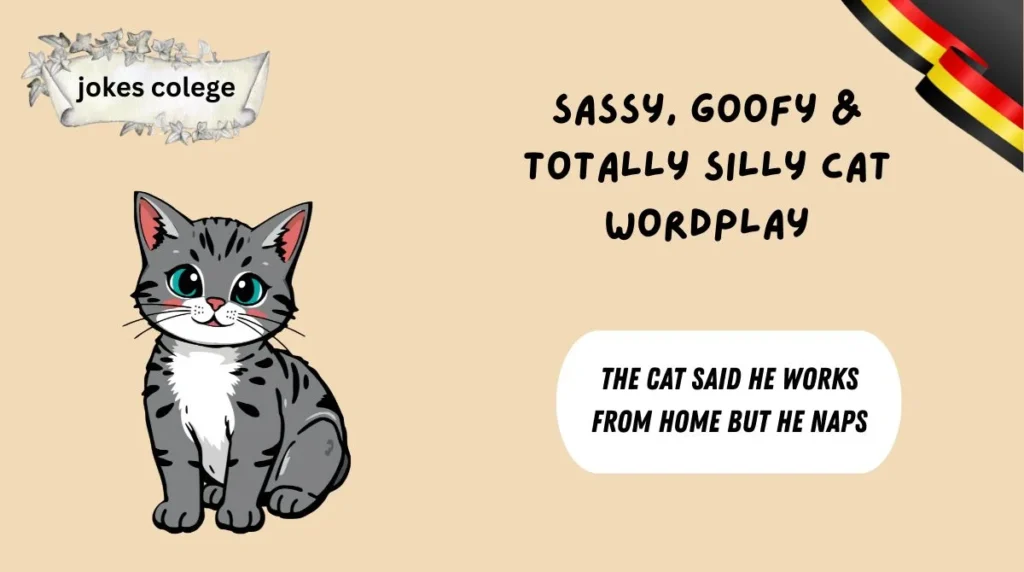 Sassy, Goofy & Totally Silly Cat Wordplay