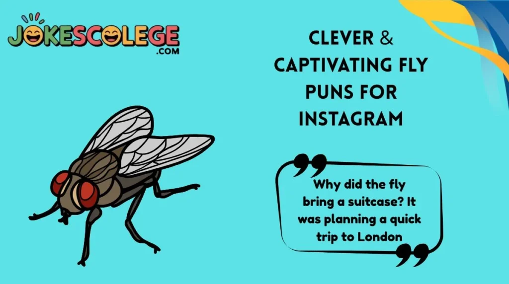Clever & Captivating Fly Puns for Instagram