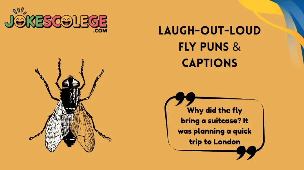 Laugh-Out-Loud Fly Puns & Captions