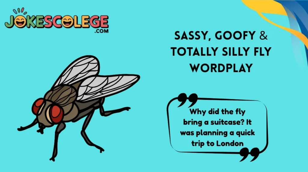 Sassy, Goofy & Totally Silly Fly Wordplay